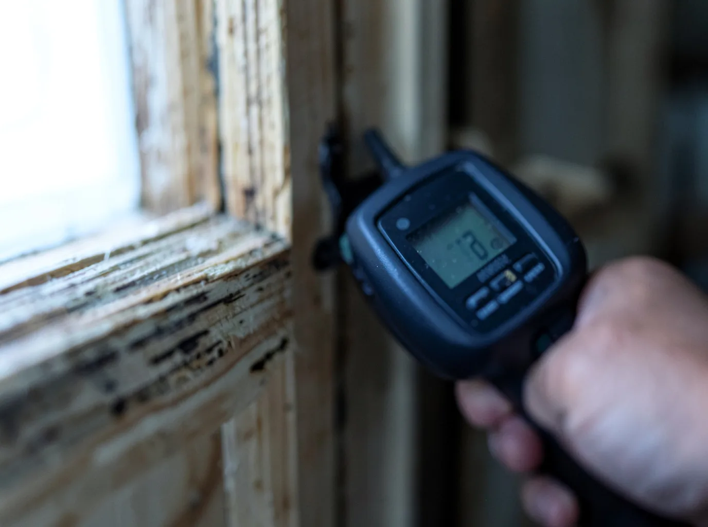 Moisture Inspection And Documentation in Noble, LA